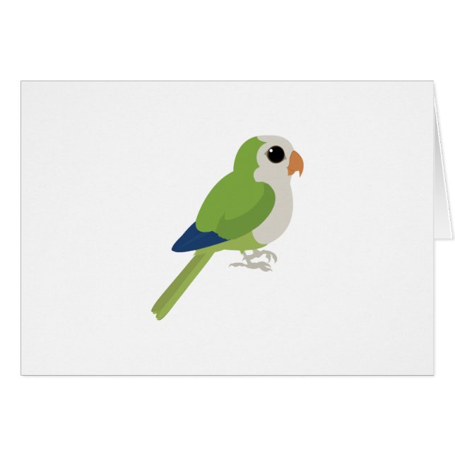 Monk Parakeet (Front Horizontal)