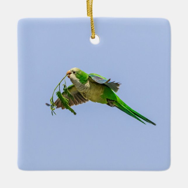 Monk Parakeet in the Rio Grande Valley Ceramic Ornament (Front)