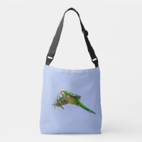 Monk Parakeet in the Rio Grande Valley