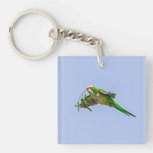 Monk Parakeet in the Rio Grande Valley Keychain