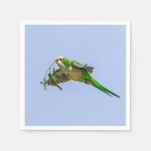 Monk Parakeet in the Rio Grande Valley Napkin