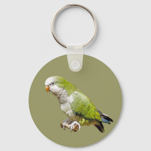 Monk Parakeet Keychain