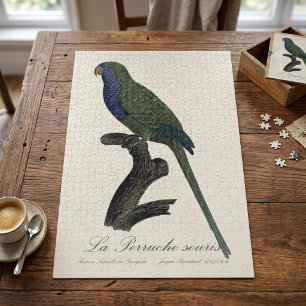 Monk Parakeet or Monk Parrot, Myiopsitta Monachus Jigsaw Puzzle