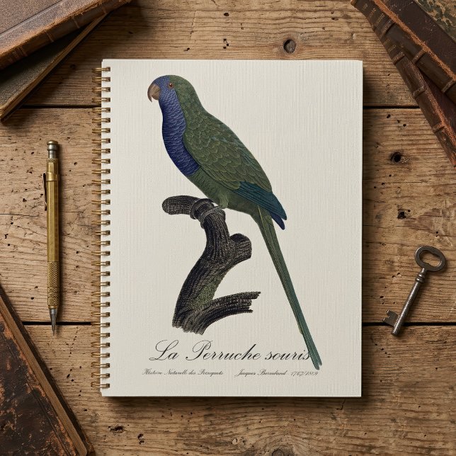 Monk Parakeet or Monk Parrot, Myiopsitta Monachus Planner (Monk Parakeet or Monk Parrot, Myiopsitta Monachus. Planner)