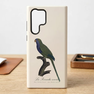 Monk Parakeet or Monk Parrot, Myiopsitta Monachus Samsung Galaxy Case