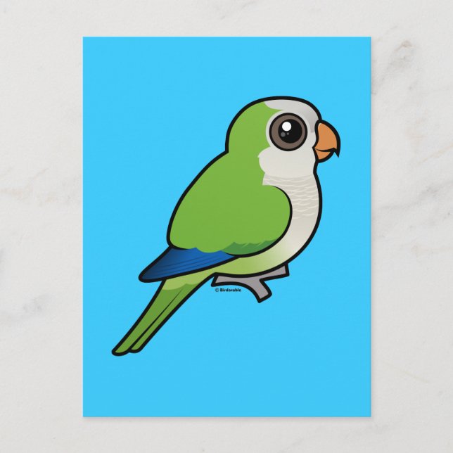 Monk Parakeet Postcard (Front)