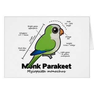 Monk Parakeet Statistics