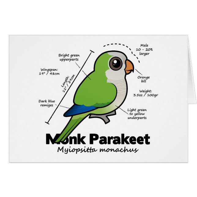 Monk Parakeet Statistics (Front Horizontal)