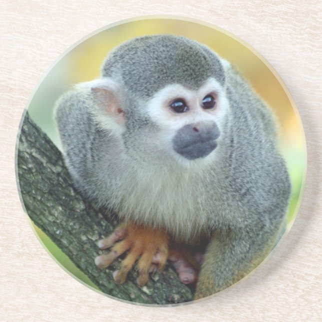 Monkey 004 coaster (Front)