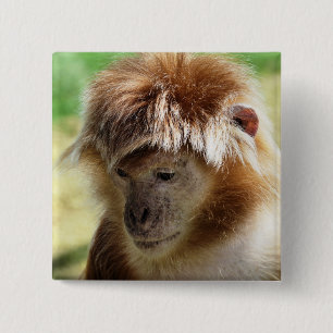 MONKEY 2 INCH SQUARE BUTTON