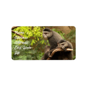 Monkey  Address Sticker