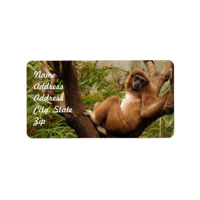 Monkey  Address Sticker (Front)