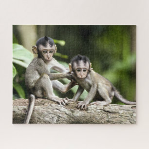 Monkey Babies in Nature Jigsaw Puzzle