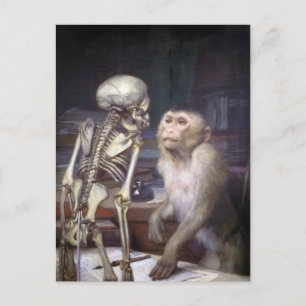 Monkey Before Skeleton Postcard