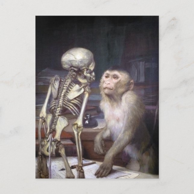 Monkey Before Skeleton Postcard (Front)