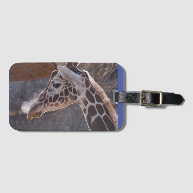 Monkey Boy Luggage Tag #1 (Front Horizontal)