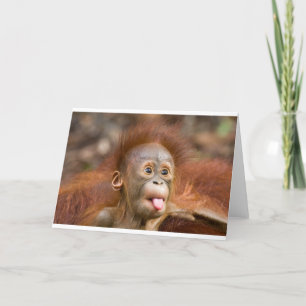 Monkey business 2 card