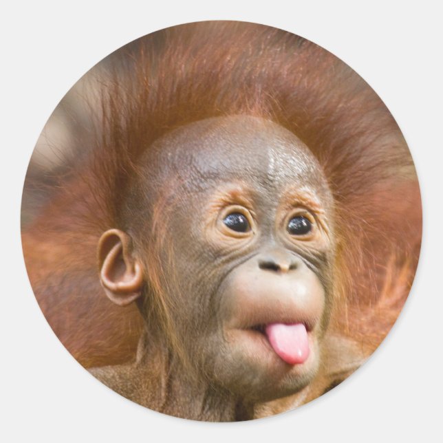 Monkey business 2 classic round sticker (Front)