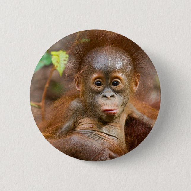 Monkey business 3 2 inch round button (Front)