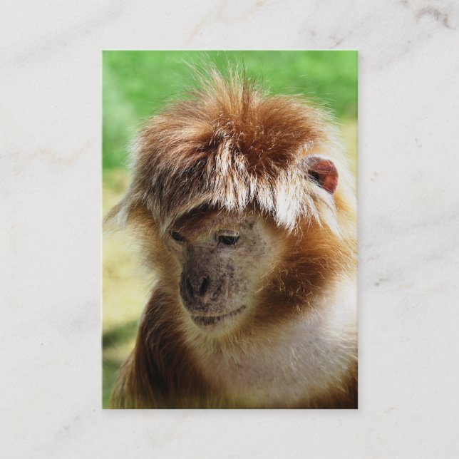 MONKEY BUSINESS CARD (Front)
