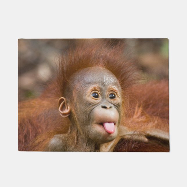 Monkey business doormat (Front)