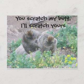 Monkey Business Postcard