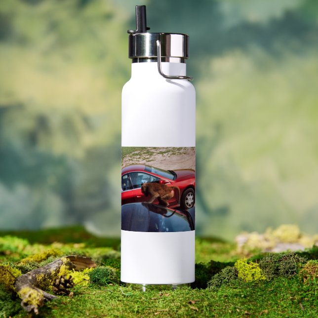 Monkey Business Water Bottle (Outdoor (Rotated))