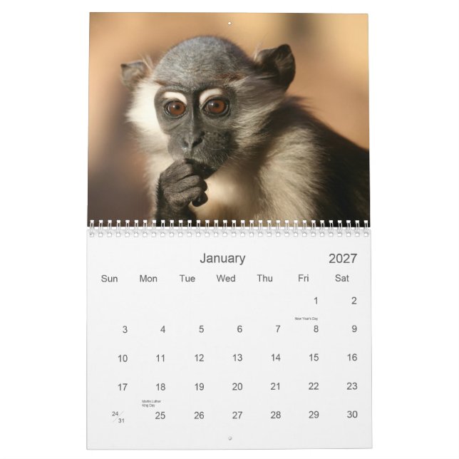 Monkey Calendar 2013 (Jan 2027)