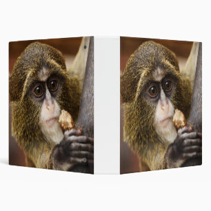 Monkey Climbing Tree Photo Binder