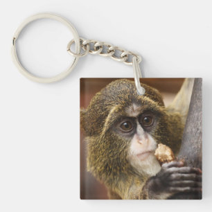 Monkey Climbing Tree Photo Keychain