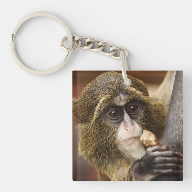 Monkey Climbing Tree Photo Keychain (Front)