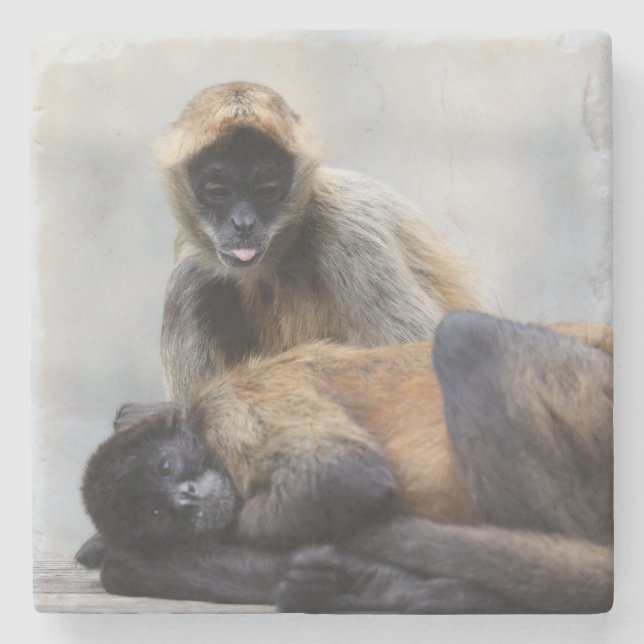 Monkey Coaster  (Front)