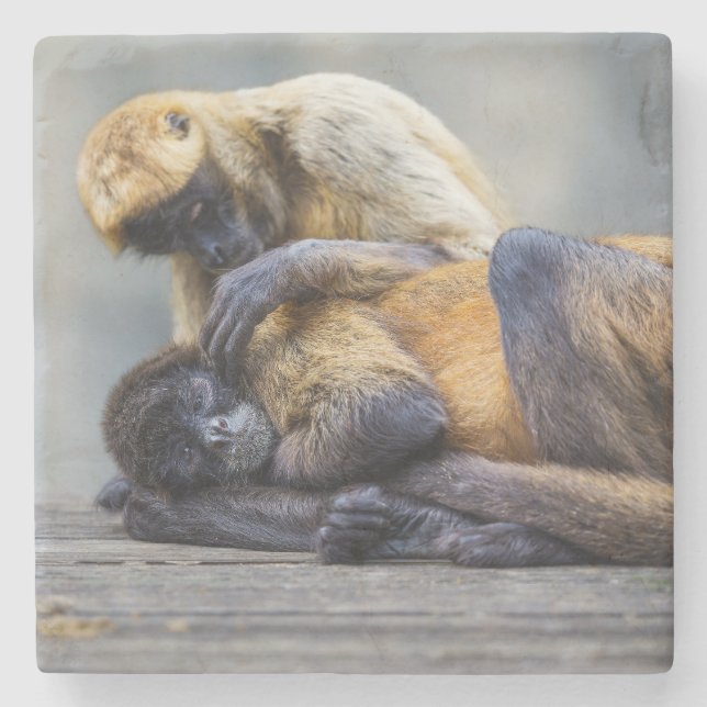 Monkey Coaster (Front)
