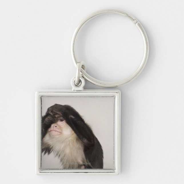 Monkey covering its eyes keychain (Front)