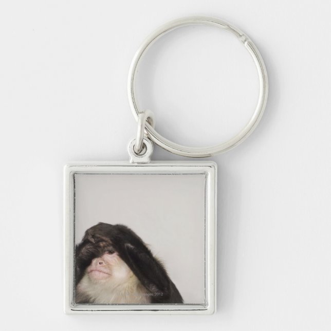 Monkey covering its eyes keychain (Front)
