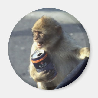 Monkey Drinking Magnet