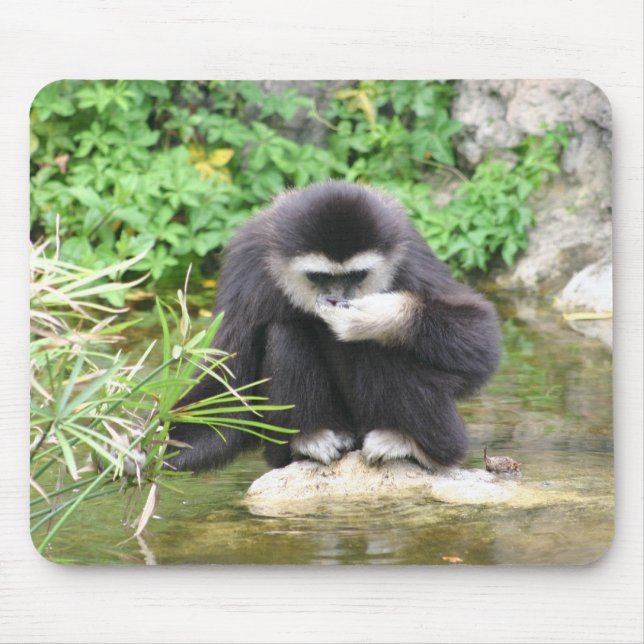 Monkey drinking mouse pad (Front)