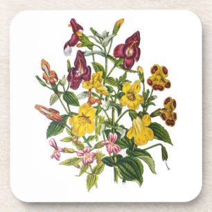 Monkey-flowers Coaster