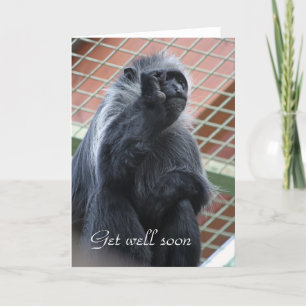Monkey get well soon card