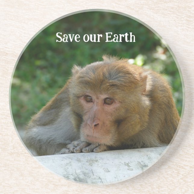 Monkey - Grandfather Coaster (Front)