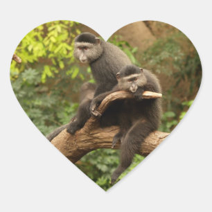 Monkey  Heart Sticker