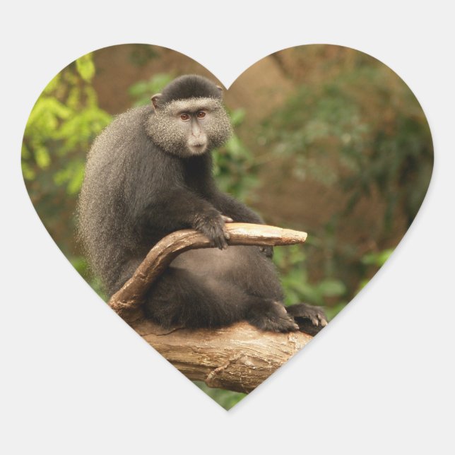 Monkey  Heart Sticker (Front)