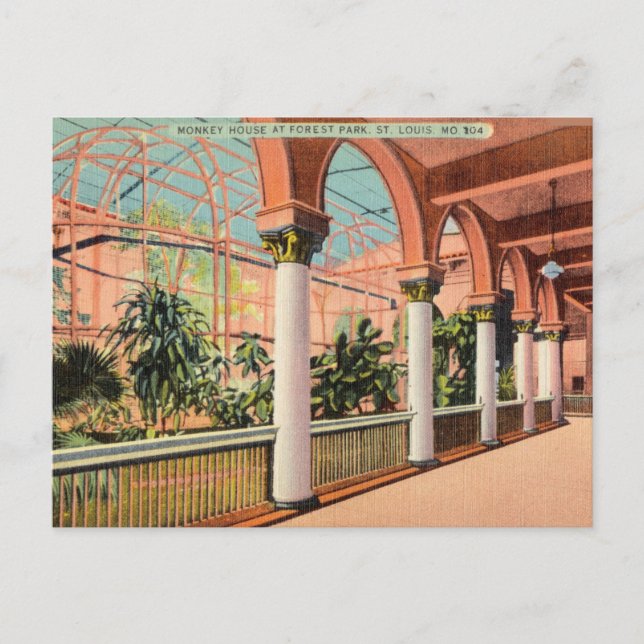 Monkey House, Forest Park, St. Louis Missouri Postcard (Front)