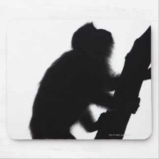 Monkey in a tree, Railay peninsula, Mouse Pad