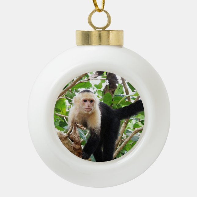 Monkey in Costa Rica Ceramic Ball Christmas Ornament (Front)
