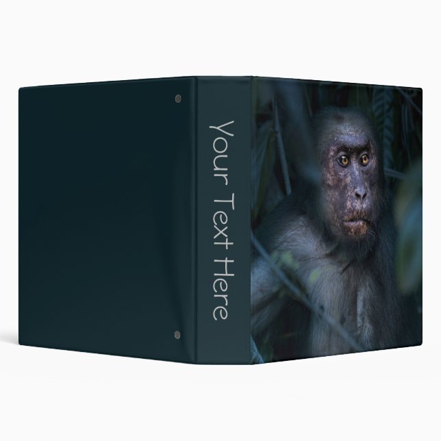 Monkey in the Jungle Binder (Background)