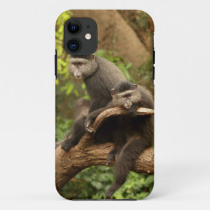 Monkey iPhone 5 11 Case