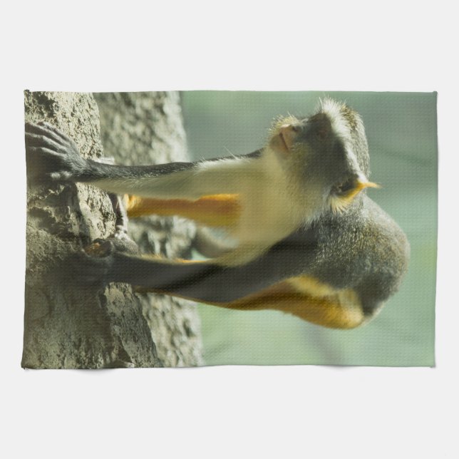 Monkey Kitchen Towel (Horizontal)