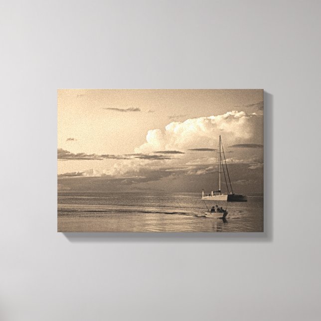 Monkey Mia Canvas Print (Front)