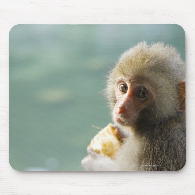 Monkey Mouse Pad (Front)